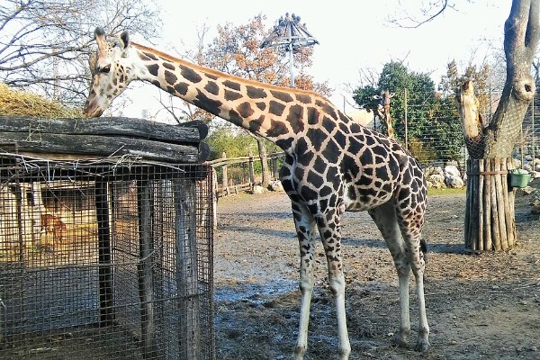 Budapest Zoo & Botanical Garden