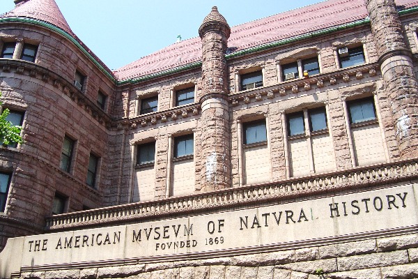 American Museum of Natural History