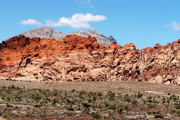 Red Rock Canyon National Conservation Area