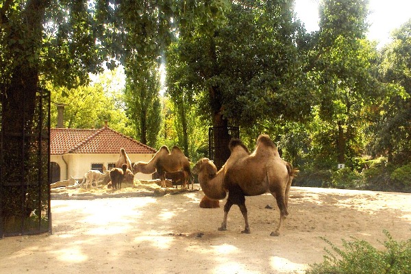 ARTIS Amsterdam Royal Zoo