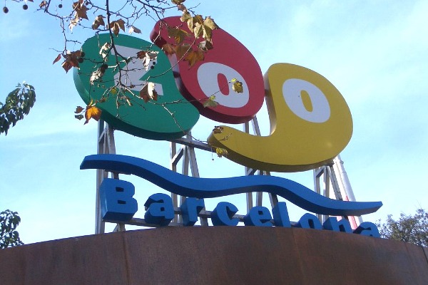 Barcelona Zoo