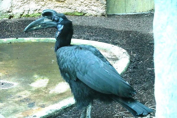 Munchener Tierpark Hellabrunn