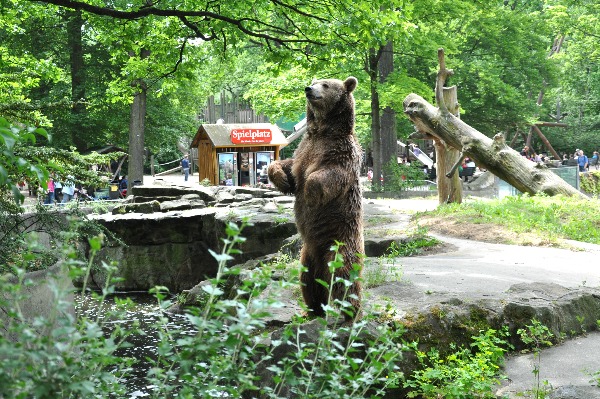 Zoo Berlin