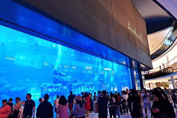 Dubai Aquarium & Underwater Zoo