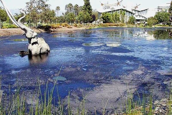 La Brea Tar Pits and Museum