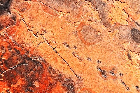 Red Rock Canyon National Conservation Area