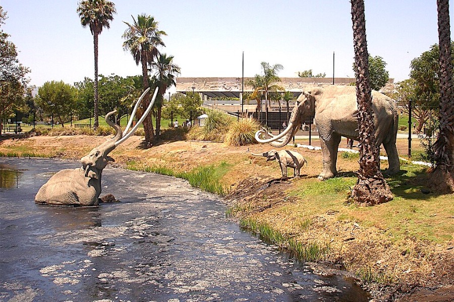 La Brea Tar Pits and Museum