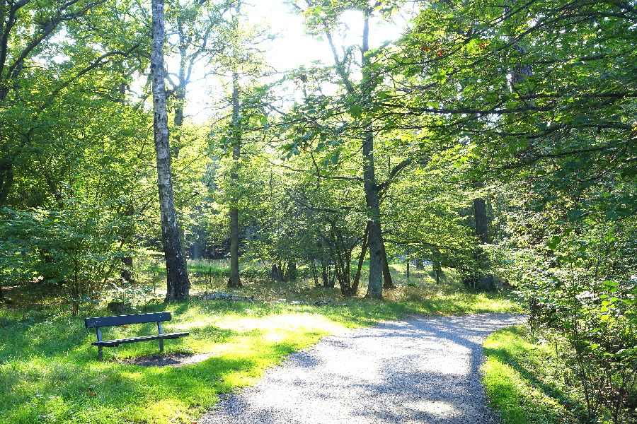 Kungliga Djurgården