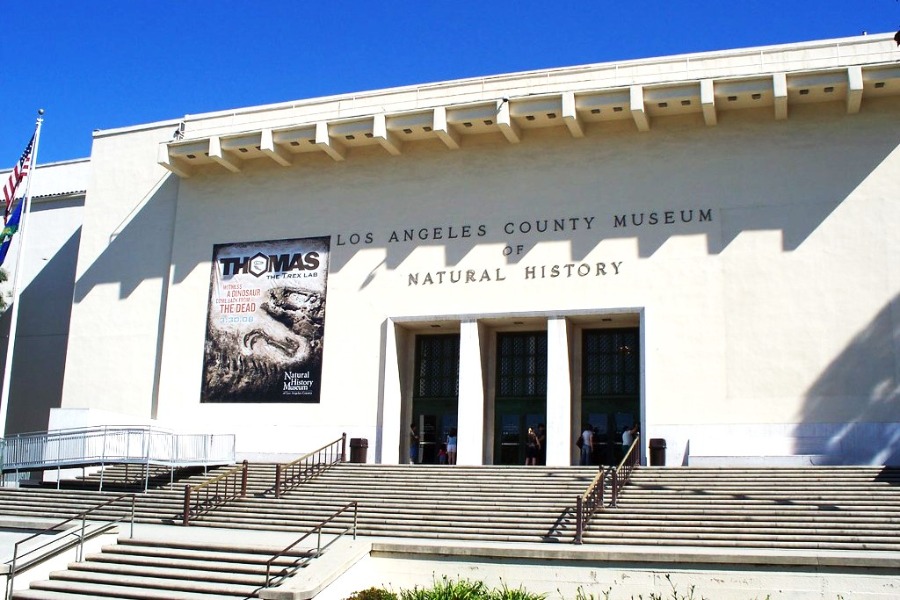 Natural History Museum of Los Angeles County