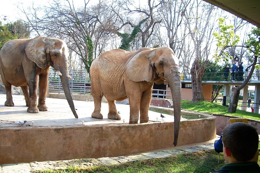 Barcelona Zoo