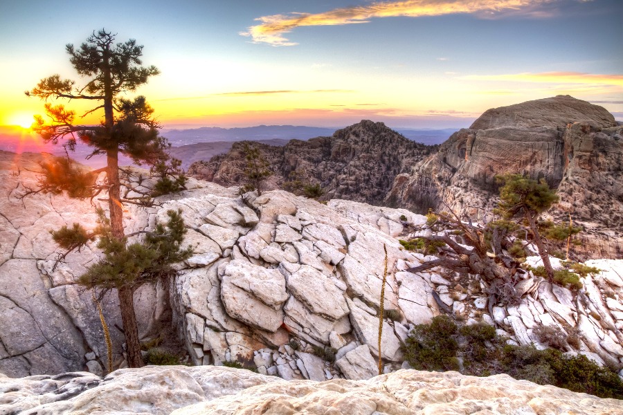 Red Rock Canyon National Conservation Area