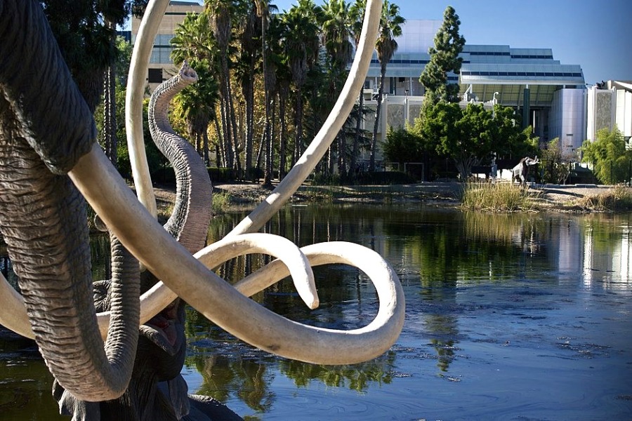 La Brea Tar Pits and Museum