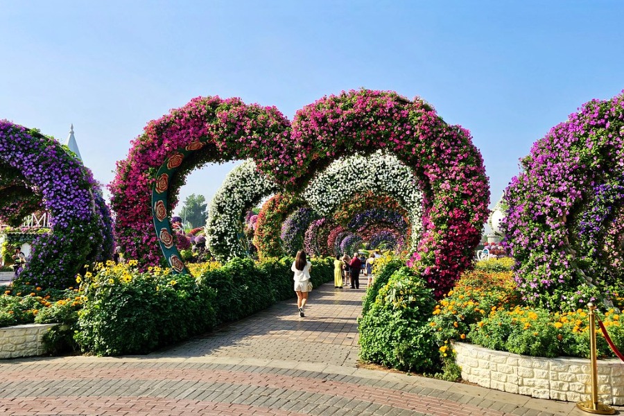 Dubai Miracle Garden