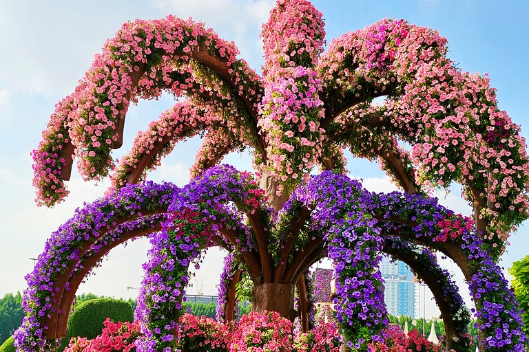 Dubai Miracle Garden